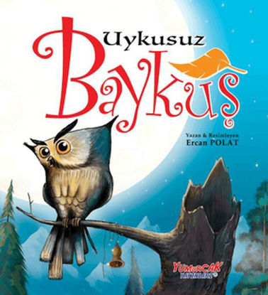 Uykusuz Baykuş resmi