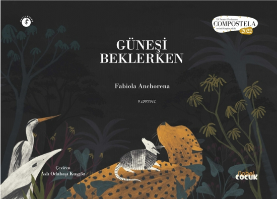 Güneşi Beklerken resmi