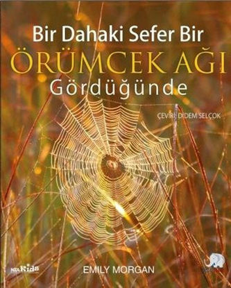 Bir Dahaki Sefer Bir Örümcek Ağı Gördüğünde resmi