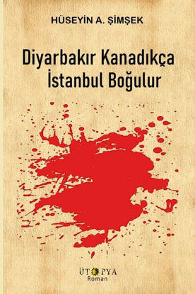 Diyarbakır Kanadıkça İstanbul Boğulur resmi