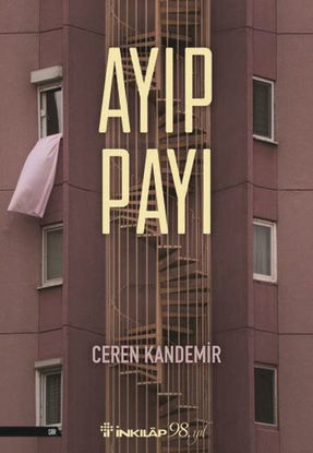 Ayıp Payı resmi