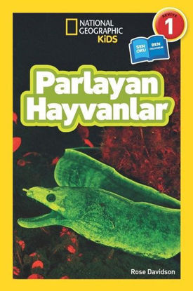 Parlayan Hayvanlar-Seviye 1 resmi