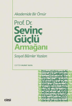 Akademide Bir Ömür Prof. Dr. Sevinç Güçlü Armağanı resmi