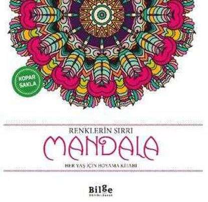 Renklerin Sırrı - Mandala resmi