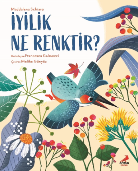 İyilik Ne Renktir? resmi