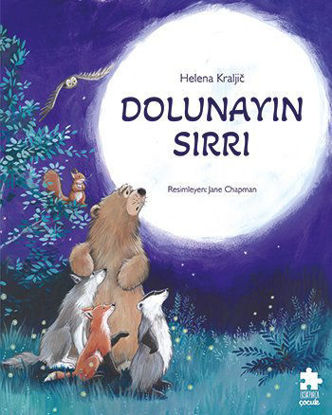 Dolunayın Sırrı resmi