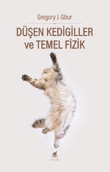 Düşen Kedigiller ve Temel Fizik resmi