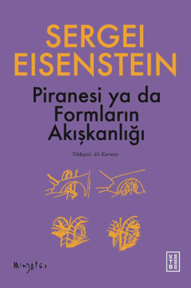 Piranesi ya da Formların Akışkanlığı resmi