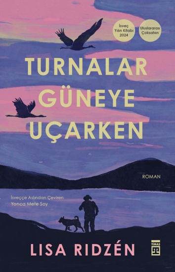 Turnalar Güneye Uçarken resmi