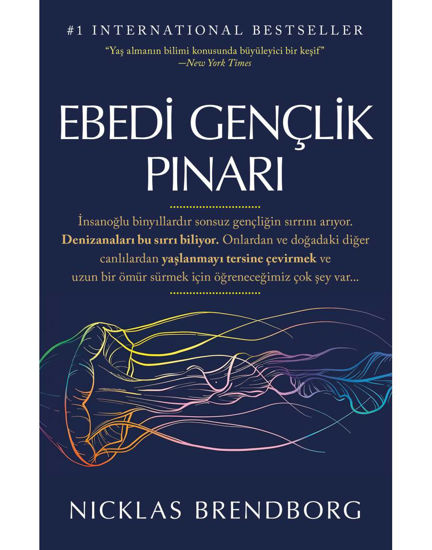 Ebedi Gençlik Pınarı resmi