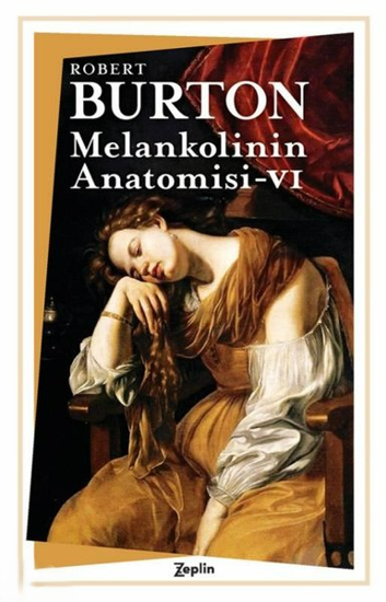 Melankolinin Anatomisi - VI resmi