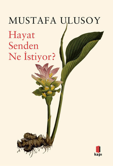 Hayat Senden Ne İstiyor? resmi