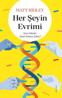 Her Şeyin Evrimi resmi