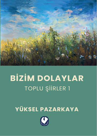 Bizim Dolaylar resmi