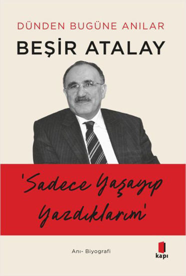 Sadece Yaşayıp Yazdıklarım resmi