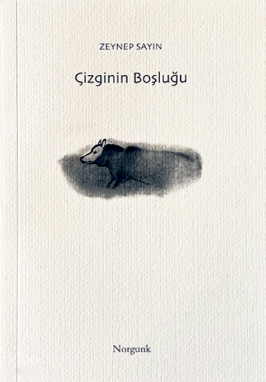 Çizginin Boşluğu resmi