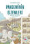 Pandeminin Gizemleri resmi