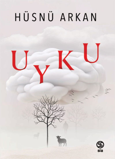 Uyku resmi