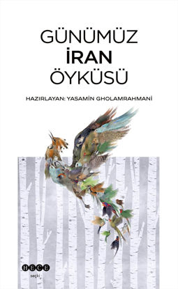 Günümüz İran Öyküsü resmi
