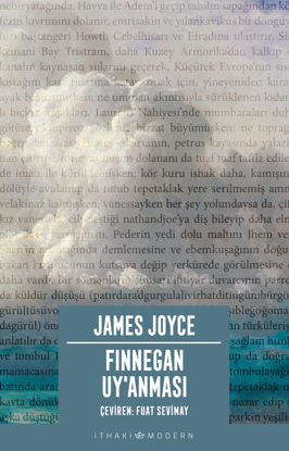 Finnegan Uy’anması resmi