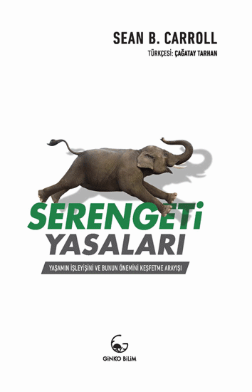 Serengeti Yasaları resmi