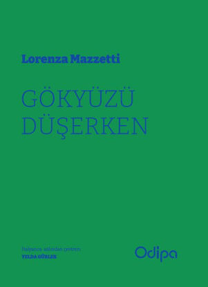 Gökyüzü Düşerken resmi