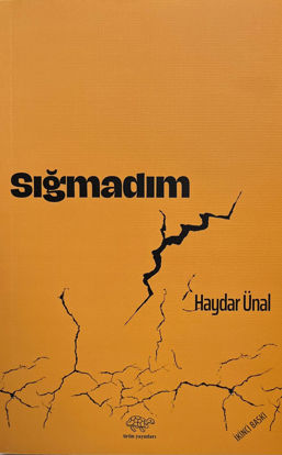 Sığmadım resmi