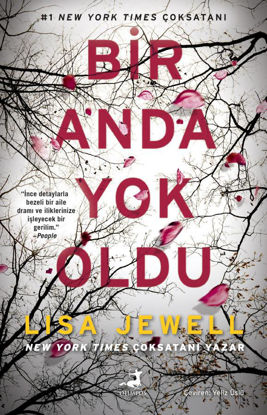 Bir Anda Yok Oldu resmi