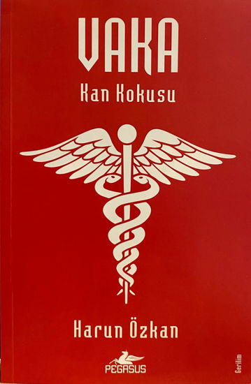Vaka resmi