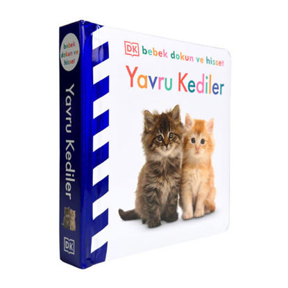 Yavru Kediler - Ciltli resmi