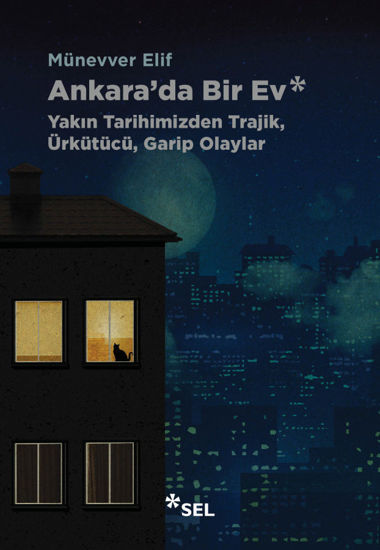 Ankara'da Bir Ev resmi