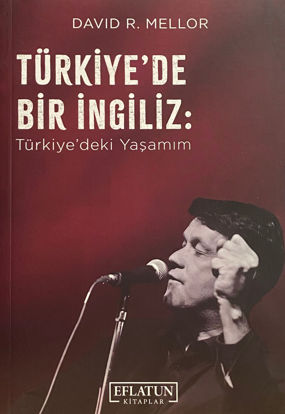 Türkiye’de Bir İngiliz resmi
