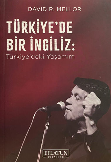 Türkiye’de Bir İngiliz resmi