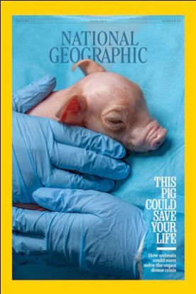 National Geographic resmi