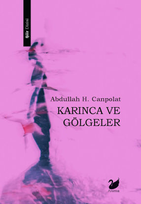 Karınca ve Gölgeler resmi