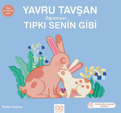 Yavru Tavşan Öğreniyor Tıpkı Senin Gibi resmi