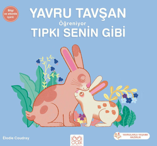 Yavru Tavşan Öğreniyor Tıpkı Senin Gibi resmi