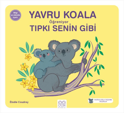 YAVRU KOALA ÖĞRENİYOR TIPKI SENİN GİBİ resmi