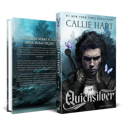 Quicksilver - Ciltli resmi