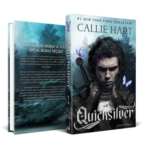 Quicksilver - Ciltli resmi