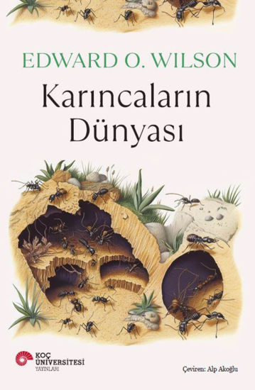 Karıncaların Dünyası resmi