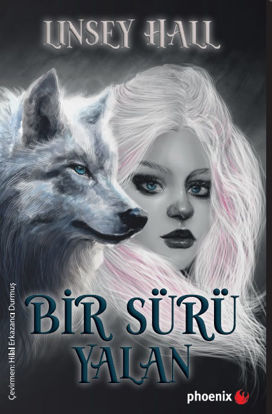 Bir Sürü Yalan resmi