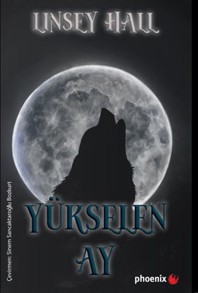 Yükselen Ay resmi