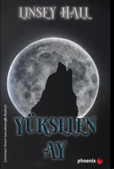 Yükselen Ay resmi