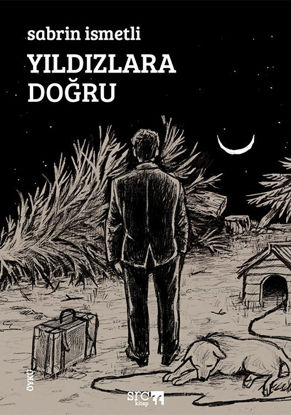 Yıldızlara Doğru resmi