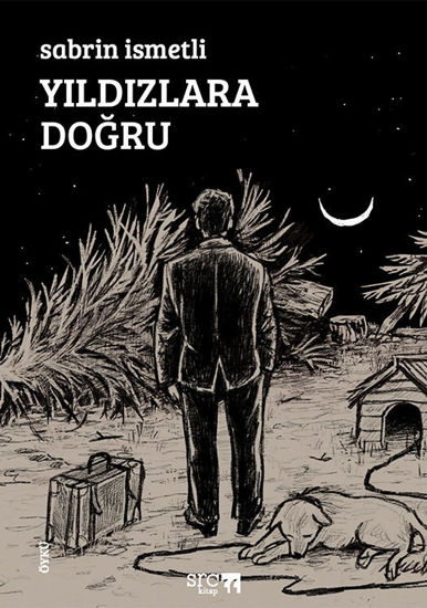 Yıldızlara Doğru resmi
