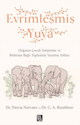 Evrimleşmiş Yuva resmi