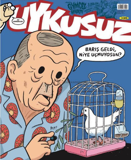Uykusuz -Haziran-2025 resmi