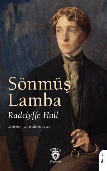 Sönmüş Lamba resmi