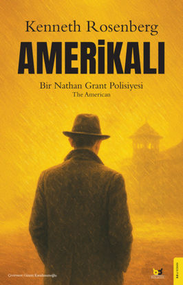 Amerikalı resmi